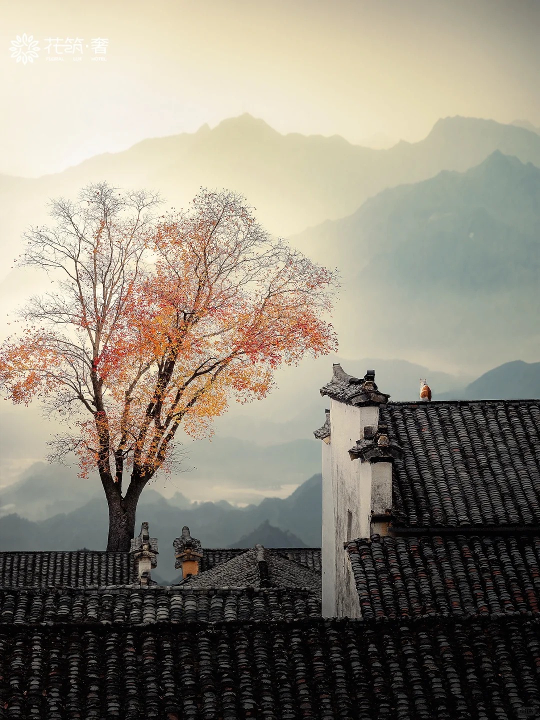 被《国家地理》评为皖南最美古村的秋天有绝_4_花筑奢_安徽徽州-来自52tours 我爱旅游网